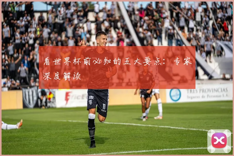 看世界杯前必知的五大要点：专家深度解读