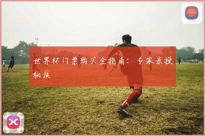 世界杯门票购买全指南:专家亲授秘诀