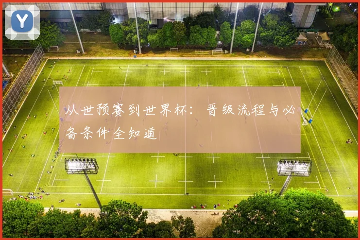 从世预赛到世界杯:晋级流程与必备条件全知道