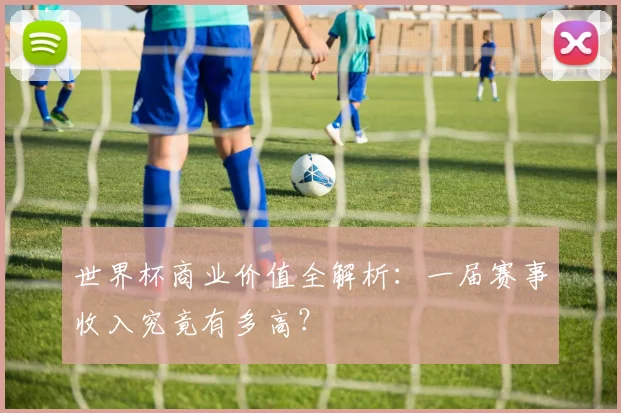 世界杯商业价值全解析:一届赛事收入究竟有多高?