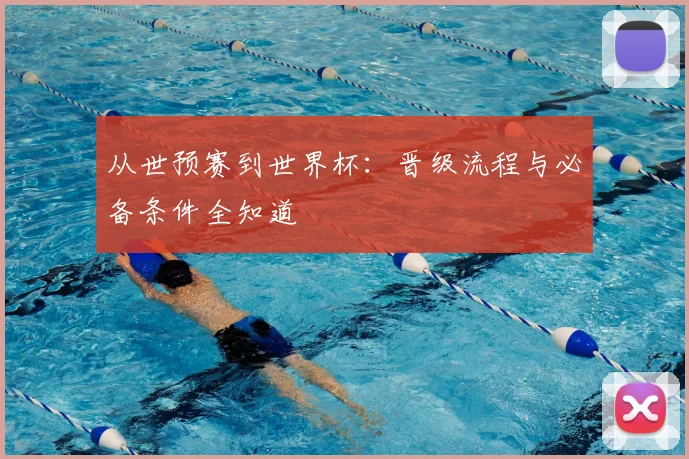 从世预赛到世界杯:晋级流程与必备条件全知道