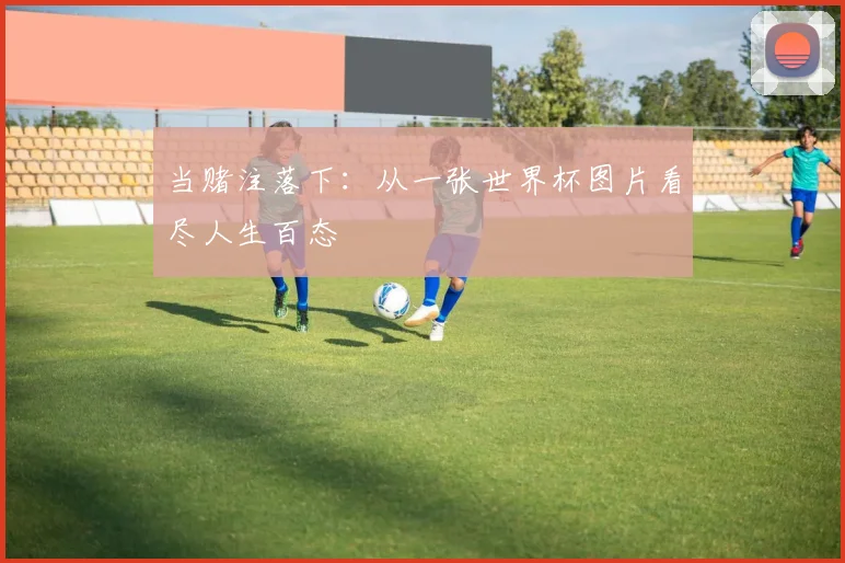 当赌注落下:从一张世界杯图片看尽人生百态