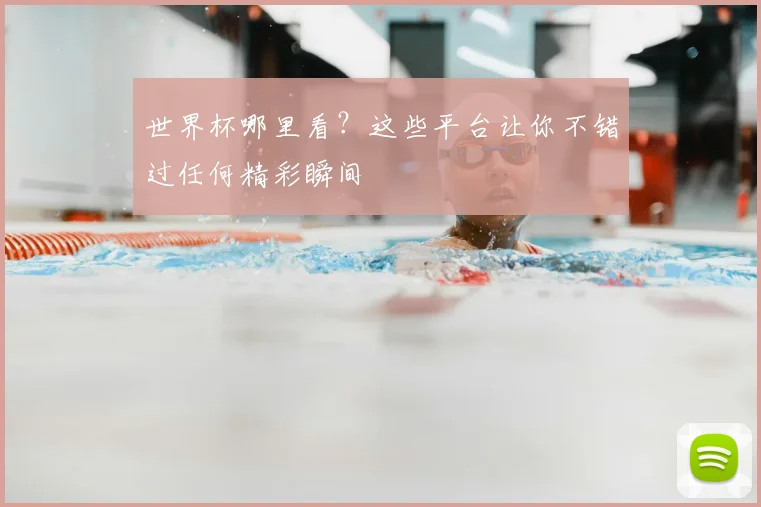 世界杯哪里看?这些平台让你不错过任何精彩瞬间