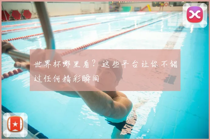 世界杯哪里看?这些平台让你不错过任何精彩瞬间